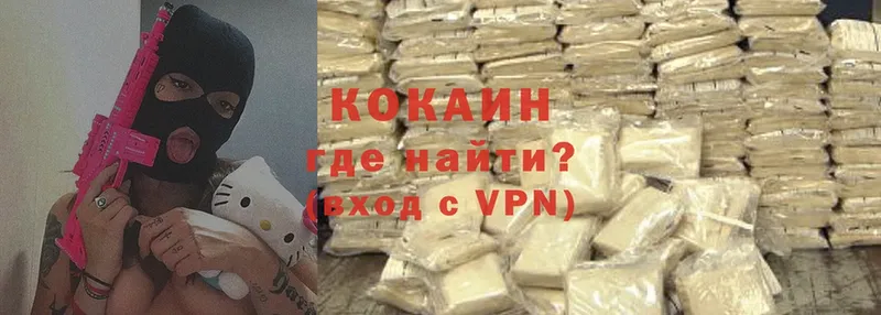 Cocaine FishScale  Новомичуринск 