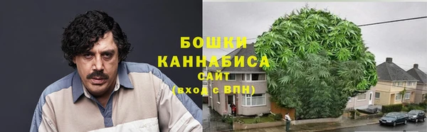2c-b Осинники