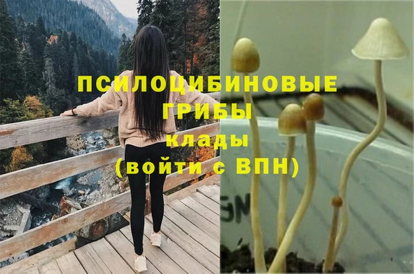 дживик Нязепетровск
