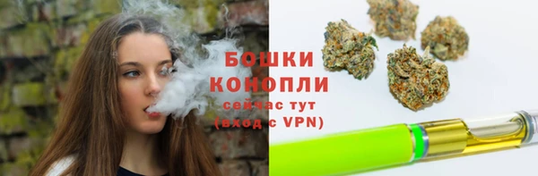 амф Няндома