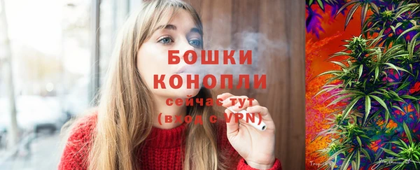 амф Няндома