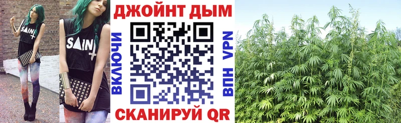 Каннабис MAZAR Новомичуринск